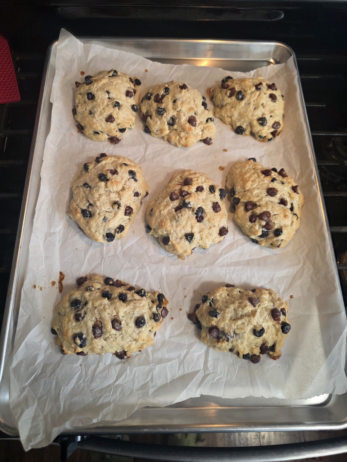 Tray of Bad Influence Bakery blueberry milk chocolate scones