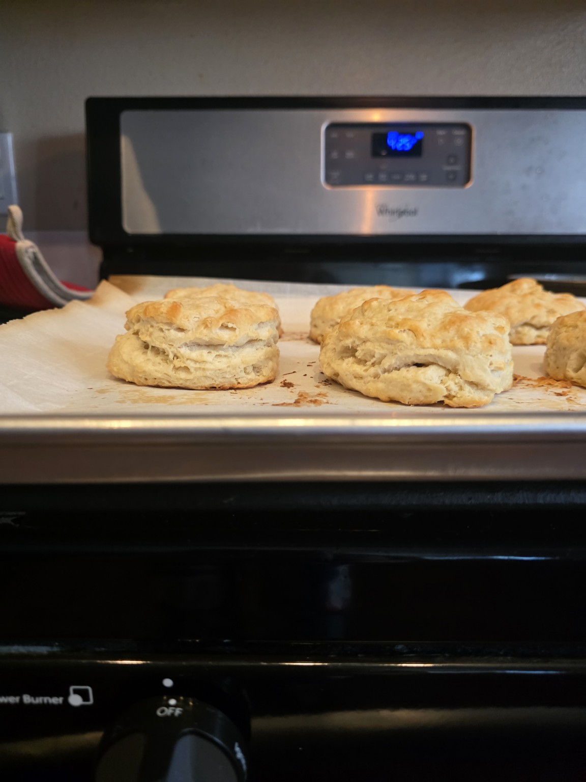 Fresh sourdough biscuits showing their flaky layers